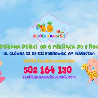 Żłobek Ananaski  image 2