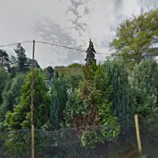 Publiczne Przedszkole Nr 3 Zielony Zakątek W Strzegomiu image 2
