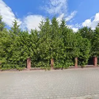 Zespół Placówek Oświatowych Imżołnierzy Mjr Zenona Przedszkole Samorządowe W Leśnej Podlaskiej image 1