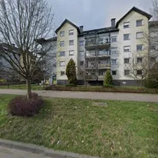 Stumilowy Gaj B image 3