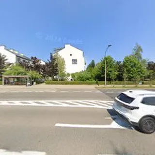 PUNKT PRZEDSZKOLNY "LEŚNE PATYKI" image 3