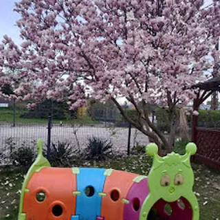 Klub dziecięcy "U cioci Czesi 2" image 3