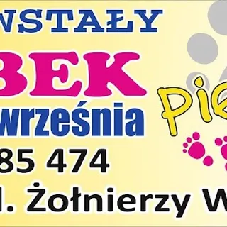 Żłobek Pierwsze Kroki Agnieszka Szczepańska image 2
