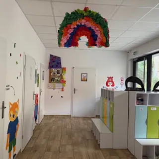 Misie Tulisie Łódź  image 2