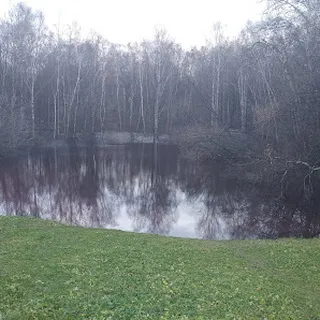 Przedszkole Samorządowe Nr 11 Z Oddziałem Specjalnym W Chrzanowie image 1