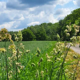 Publiczne Przedszkole Nr 6 image 1