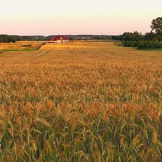 PRZEDSZKOLE TERAPEUTYCZNE "BARWNY ŚWIAT" W BIAŁYMSTOKU image 1