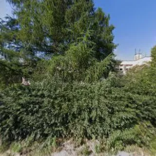 Przedszkole W Więckach image 1
