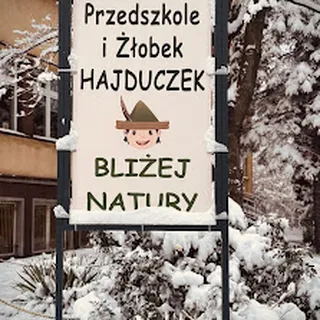 Niepubliczny Żłobek Hajduczek w Chorzowie image 2