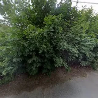 Żłobek Niepubliczny Norlandia image 5