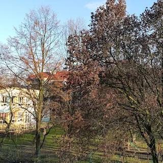 PRZEDSZKOLE NR 91 „ZACZAROWANY OGRÓD” image 2