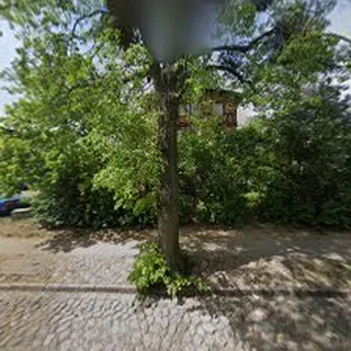 Puchatek image 1