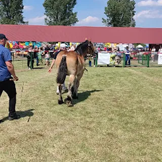 Przedszkole W Starym Polu image 3