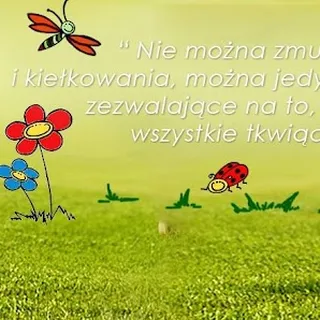 Niepubliczne Przedszkole Zielony Zakątek W Długołęce image 2