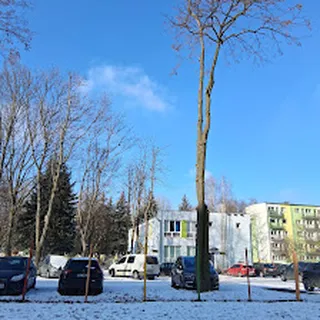 Przedszkole Miejskie Nr 140 image 2
