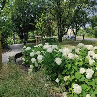 Przedszkole Miejskie Nr 5 W Sosnowcu image 1