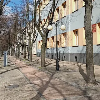 Punkt Przedszkolny Paprotka W Tomaszowie Mazowieckim image 2