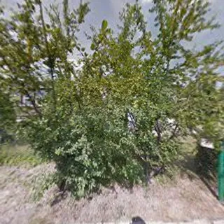 Publiczne Przedszkole Nr 4 image 2