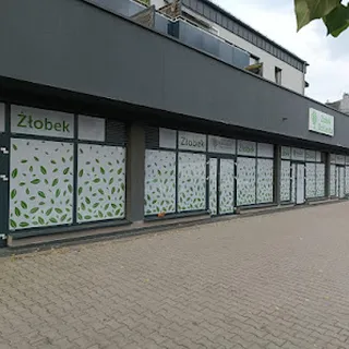 Żłobek Niepubliczny Norlandia image 2