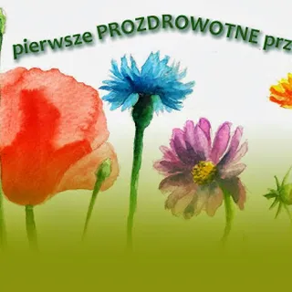 Kochane Przedszkole image 2