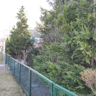 PRZEDSZKOLE NR 181 image 3