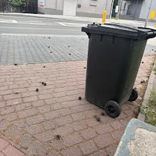 PRZEDSZKOLE MIEJSKIE NR 2 W IMIELINIE image 1