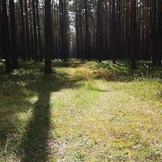 Zespół Szkół Samorządowych Imjana Pawła Ii Przedszkole W Tereszpolu-Zaorendzie image 2