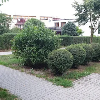Integracyjne Przedszkole Samorządowe Nr 3 image 3
