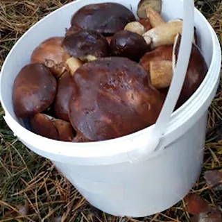 Klub Dziecięcy Muminkowy Raj image 2