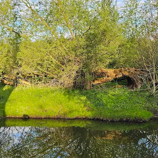 Miejskie Przedszkole Nr 4 Z Oddziałami Integracyjnymi Im Pluszowego Misia W Ciechanowie image 1