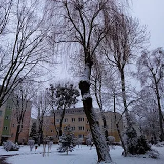 PRZEDSZKOLE NR 200 "GĄSKI BALBINKI" image 1