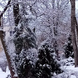 PRZEDSZKOLE NR 200 "GĄSKI BALBINKI" image 4