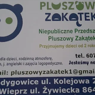 Przedszkole Pluszowy Zakątek image 2