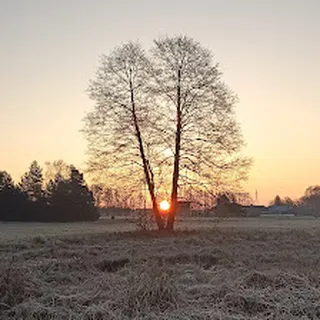 Przedszkole Samorządowe W Zespole Szkół W Starym Bosewie image 2