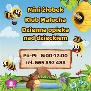 KLUB MAŁEJ PSZCZÓŁKI III JOANNA MAJDZIŃSKA image 1