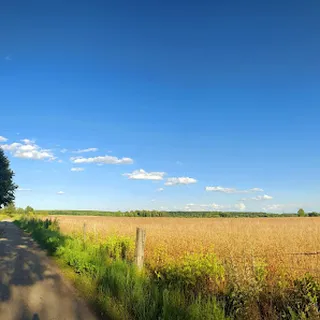Gminny Żłobek w Dąbkowie Kraina Malucha image 1