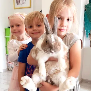 Ekologiczne Przedszkole Językowe Ekopuchatek image 1