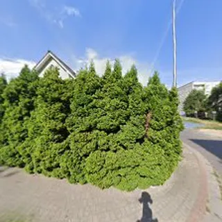 Klub Maluszka Motylek SC image 4