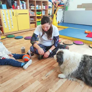Publiczne Przedszkole Nr 2 Leśny Zakątek image 3