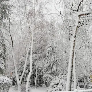Miejski Żłobek Dzienny image 1