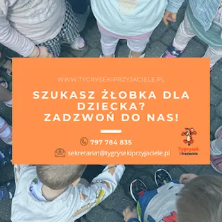 Niepubliczny Żłobek Tygrysek i Przyjaciele Karol Michalski image 1