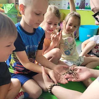 Przedszkole Prywatne Nr 9 Ognisko Językowo-Artystyczne image 1