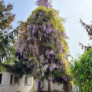 Przedszkole Nr 122 Wesoła Gromadka image 1