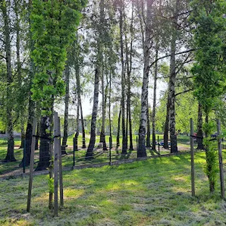 Przedszkole Nr 1 W Pszczynie image 3