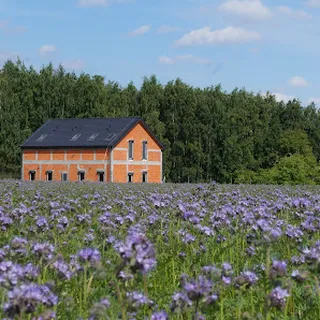 PRZEDSZKOLE NIEPUBLICZNE LISIA BAZA image 2