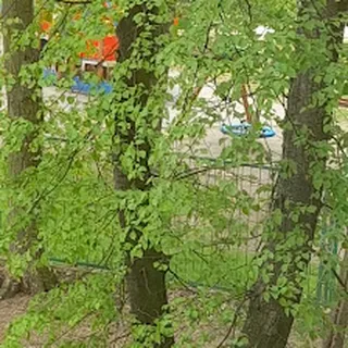 Przedszkole Miejskie Nr 74 image 2