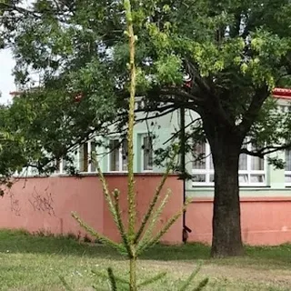 PRZEDSZKOLE SAMORZĄDOWE NR 2 W KIELCACH image 2