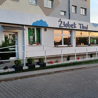 ŻŁOBEK AUTOBUSIK image 2