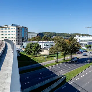 Przedszkole Nr 77 Dla Dzieci Z Porażeniem Mózgowym W Gdańsku image 1