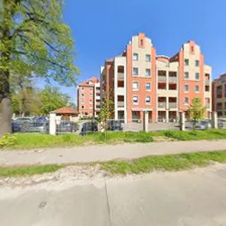 Leśny Skrzat image 4